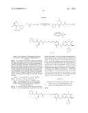 PTERIDINE DERIVATIVES AS POLO-LIKE KINASE INHIBITORS USEFUL IN THE TREATMENT OF CANCER diagram and image