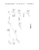 PYRAZOLE DERIVATIVES AS MODULATORS OF THE 5-HT2A SEROTONIN RECEPTOR USEFUL FOR THE TREATMENT OF DISORDERS RELATED THERETO diagram and image