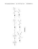 MULTIFUNCTIONAL CARRIERS FOR THE DELIVERY OF NUCLEIC ACIDS AND METHODS OF USE THEREOF diagram and image