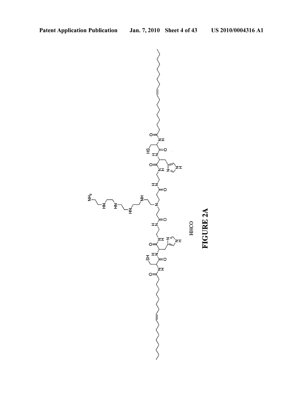 MULTIFUNCTIONAL CARRIERS FOR THE DELIVERY OF NUCLEIC ACIDS AND METHODS OF USE THEREOF - diagram, schematic, and image 05