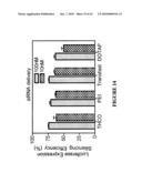 MULTIFUNCTIONAL CARRIERS FOR THE DELIVERY OF NUCLEIC ACIDS AND METHODS OF USE THEREOF diagram and image