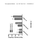 MULTIFUNCTIONAL CARRIERS FOR THE DELIVERY OF NUCLEIC ACIDS AND METHODS OF USE THEREOF diagram and image