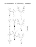 MULTIFUNCTIONAL CARRIERS FOR THE DELIVERY OF NUCLEIC ACIDS AND METHODS OF USE THEREOF diagram and image