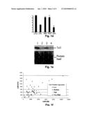 TCL1 Expression in Chronic Lymphocytic Leukemia (CLL) Regulated by MIR-29 and MIR-181 diagram and image