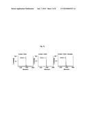 Use of Baicalein As Prolyl Hydroxylase 2 Inhibitor diagram and image