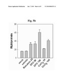 Use of Baicalein As Prolyl Hydroxylase 2 Inhibitor diagram and image