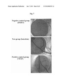 Use of Baicalein As Prolyl Hydroxylase 2 Inhibitor diagram and image