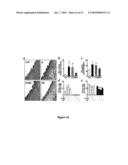 COMPOSITIONS AND METHODS FOR TREATING CARDIOVASCULAR DISORDERS diagram and image