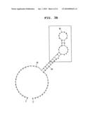 APTAMER AGAINST MIDKINE AND USE THEREOF diagram and image