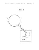 APTAMER AGAINST MIDKINE AND USE THEREOF diagram and image