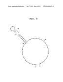 APTAMER AGAINST MIDKINE AND USE THEREOF diagram and image