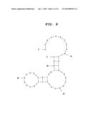 APTAMER AGAINST MIDKINE AND USE THEREOF diagram and image