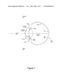 COMPOUND SCANNING HEAD FOR AN ULTRASONIC SCANNING APPARATUS diagram and image