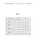 METHOD AND DEVICE FOR THE DETERMINATION OF BREATH FREQUENCY diagram and image