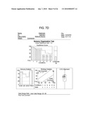 METHOD FOR DIAGNOSIS AND TREATMENT OF PROCESSING DIFFICULTIES, INTEGRATION PROBLEMS, IMBALANCES AND ABNORMAL POSTURES diagram and image