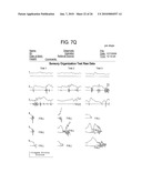 METHOD FOR DIAGNOSIS AND TREATMENT OF PROCESSING DIFFICULTIES, INTEGRATION PROBLEMS, IMBALANCES AND ABNORMAL POSTURES diagram and image