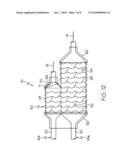 BIFURCATED STENT DELIVERY SYSTEM diagram and image