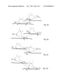 PEDESTRIAN NAVIGATION SYSTEM AND METHOD diagram and image