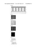 THIN-FILM PHOTOVOLTAIC DEVICE MODULE AND FABRICATION METHOD THEREOF diagram and image