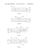 Biosensor Apparatus and Methods of Use diagram and image