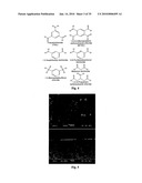 SEMIPERMEABLE POLYMERS AND METHOD FOR PRODUCING SAME diagram and image