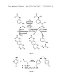 SEMIPERMEABLE POLYMERS AND METHOD FOR PRODUCING SAME diagram and image