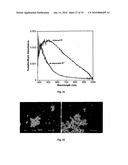 SEMIPERMEABLE POLYMERS AND METHOD FOR PRODUCING SAME diagram and image