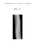 SILICA NANOWIRE COMPRISING SILICON NANODOTS AND METHOD OF PREPARING THE SAME diagram and image