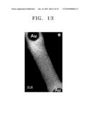 SILICA NANOWIRE COMPRISING SILICON NANODOTS AND METHOD OF PREPARING THE SAME diagram and image