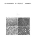 ORGANIC NANOFIBER STRUCTURE BASED ON SELF-ASSEMBLED ORGANOGEL, ORGANIC NANOFIBER TRANSISTOR USING THE SAME, AND METHOD OF MANUFACTURING THE ORGANIC NANOFIBER TRANSISTOR diagram and image