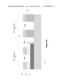 STI Structure At SOI/Bulk Transition For HOT Device diagram and image