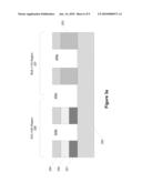 STI Structure At SOI/Bulk Transition For HOT Device diagram and image