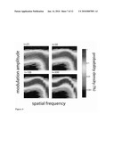 Methods and Devices for Rapid Measurement of Visual Sensitivity diagram and image