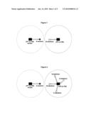 NETWORK INTERFERENCE EVALUATING METHOD, DYNAMIC CHANNEL ASSIGNMENT METHOD AND APPARATUS USED IN WIRELESS NETWORKS diagram and image