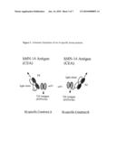 Production and Use of Novel Peptide-Based Agents with Bispecific Antibodies diagram and image