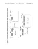 Production and Use of Novel Peptide-Based Agents with Bispecific Antibodies diagram and image