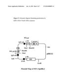 Production and Use of Novel Peptide-Based Agents with Bispecific Antibodies diagram and image