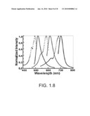 Fluorescent magnetic nanoprobes, methods of making, and methods of use diagram and image