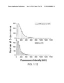 Fluorescent magnetic nanoprobes, methods of making, and methods of use diagram and image