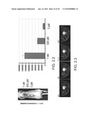 Fluorescent magnetic nanoprobes, methods of making, and methods of use diagram and image