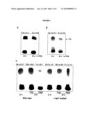 TARGETING OF LONG CHAIN TRIACYLGLYCEROL HYDROLASE GENE FOR TUBERCULOSIS TREATMENT diagram and image