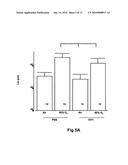 USE OF TGF-BETA ANTAGONISTS TO TREAT INFANTS AT RISK OF DEVELOPING BRONCHOPULMONARY DYSPLASIA diagram and image