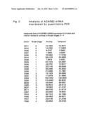 Diagnostic and Therapeutic Target Adarb2 Proteins for Neurodegenerative Diseases diagram and image