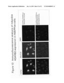 Diagnostic and Therapeutic Target Adarb2 Proteins for Neurodegenerative Diseases diagram and image