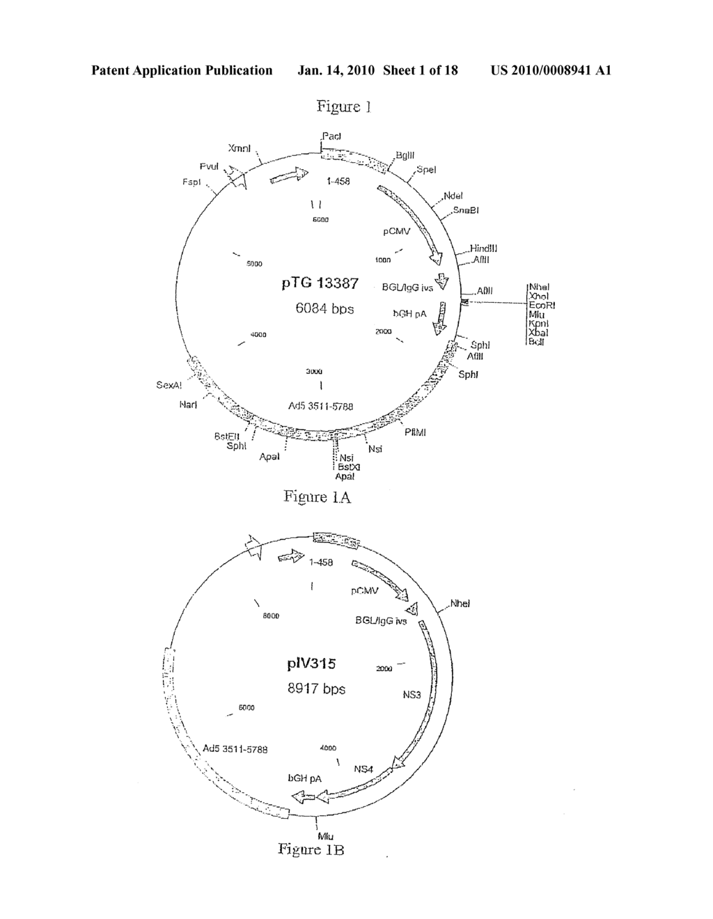 COMPOSITION COMPRISING THE POLYPROTEIN NS3/NS4 AND THE POLYPEPTIDE NS5B OF HCV, EXPRESSION VECTORS INCLUDING THE CORRESPONDING NUCLEIC SEQUENCES AND THEIR THERAPEUTIC USE - diagram, schematic, and image 02