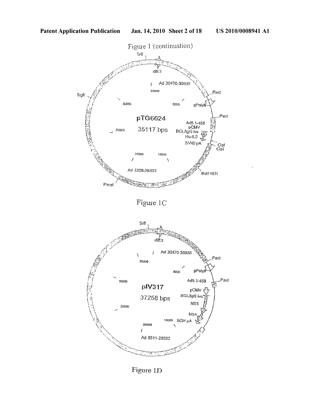 COMPOSITION COMPRISING THE POLYPROTEIN NS3/NS4 AND THE POLYPEPTIDE NS5B OF HCV, EXPRESSION VECTORS INCLUDING THE CORRESPONDING NUCLEIC SEQUENCES AND THEIR THERAPEUTIC USE - diagram, schematic, and image 03