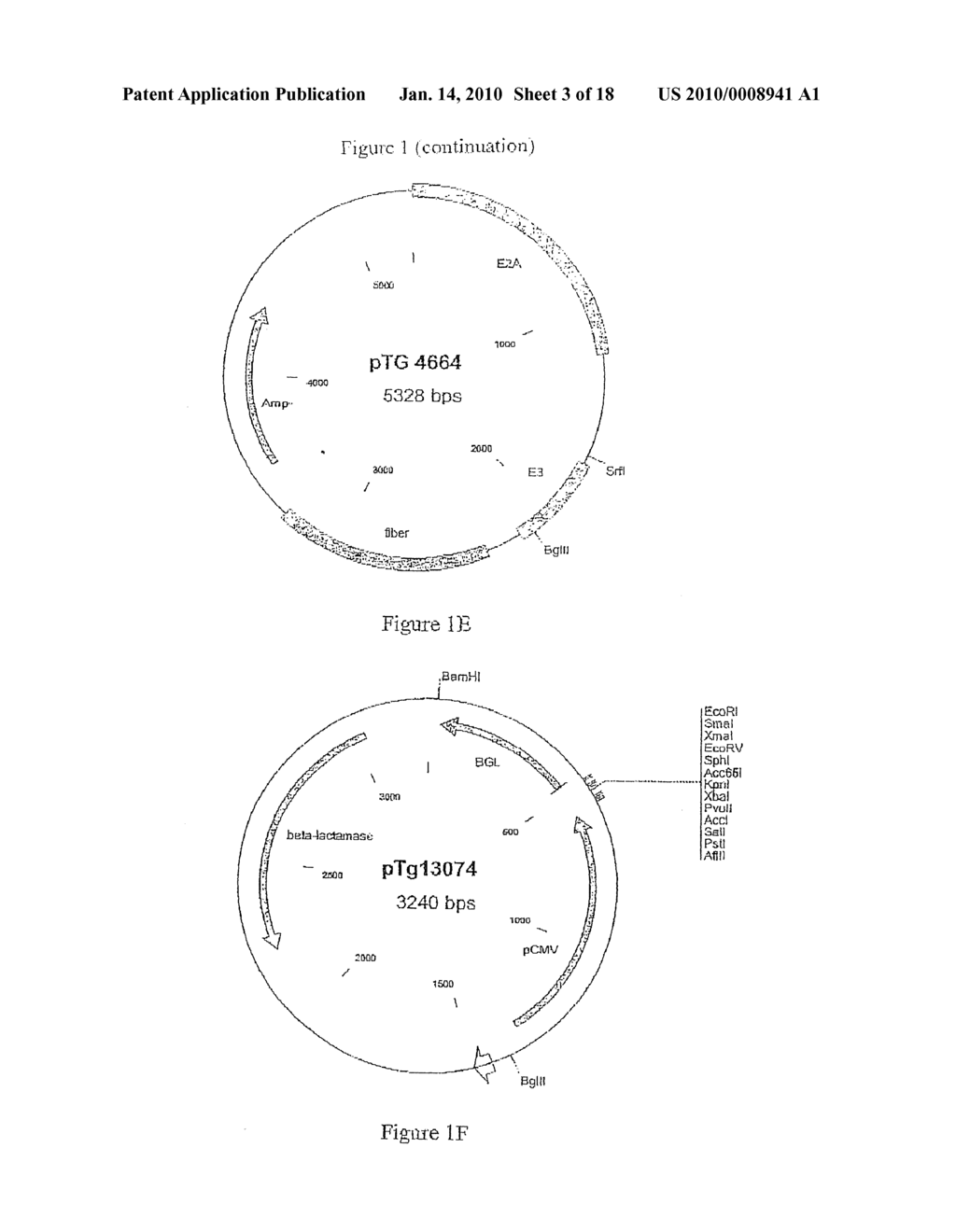 COMPOSITION COMPRISING THE POLYPROTEIN NS3/NS4 AND THE POLYPEPTIDE NS5B OF HCV, EXPRESSION VECTORS INCLUDING THE CORRESPONDING NUCLEIC SEQUENCES AND THEIR THERAPEUTIC USE - diagram, schematic, and image 04