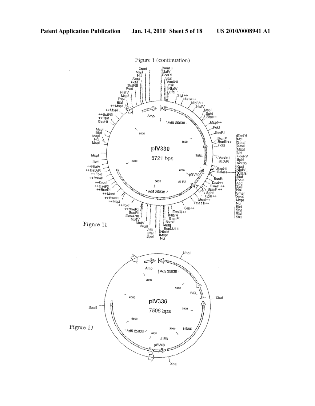 COMPOSITION COMPRISING THE POLYPROTEIN NS3/NS4 AND THE POLYPEPTIDE NS5B OF HCV, EXPRESSION VECTORS INCLUDING THE CORRESPONDING NUCLEIC SEQUENCES AND THEIR THERAPEUTIC USE - diagram, schematic, and image 06
