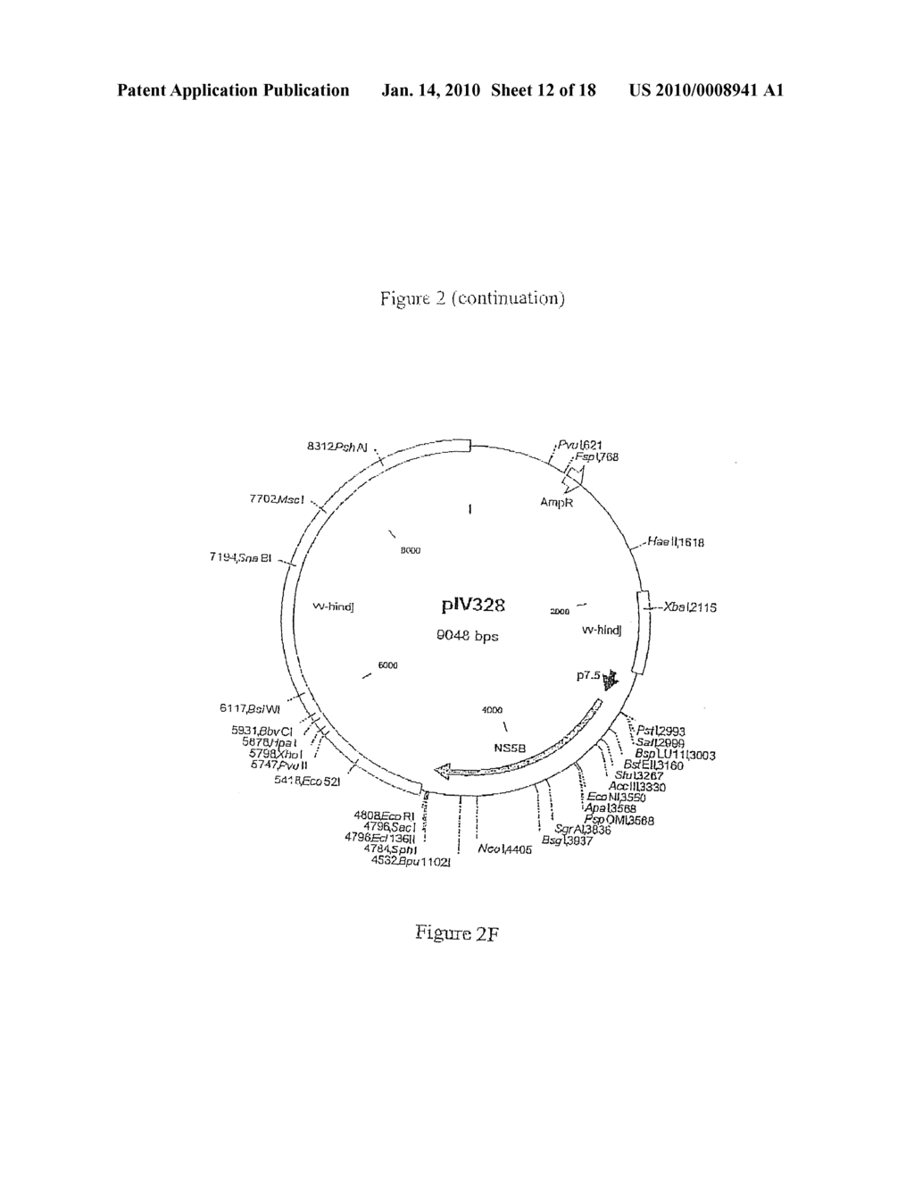 COMPOSITION COMPRISING THE POLYPROTEIN NS3/NS4 AND THE POLYPEPTIDE NS5B OF HCV, EXPRESSION VECTORS INCLUDING THE CORRESPONDING NUCLEIC SEQUENCES AND THEIR THERAPEUTIC USE - diagram, schematic, and image 13