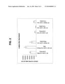 Bioactive scaffolds diagram and image